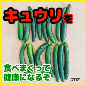 キュウリを食べまくって健康になるぞ#33｜ごいち 家庭菜園がおもしろい シーズン２｜Eat cucumbers and stay healthy #podcast