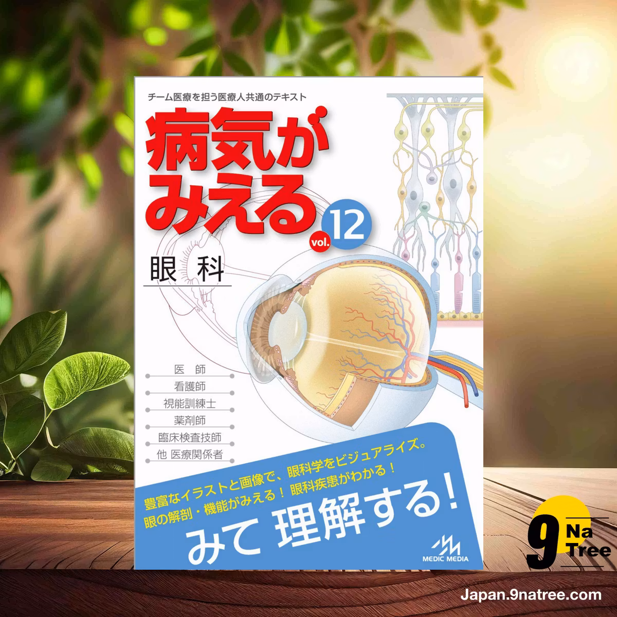                     [レビュー] 病気がみえる vol.12 眼科 第1版 (医療情報科学研究所) 要約した.                