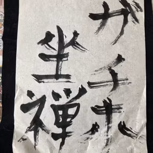 #27   今年の目標は？-ガチホ坐禅-