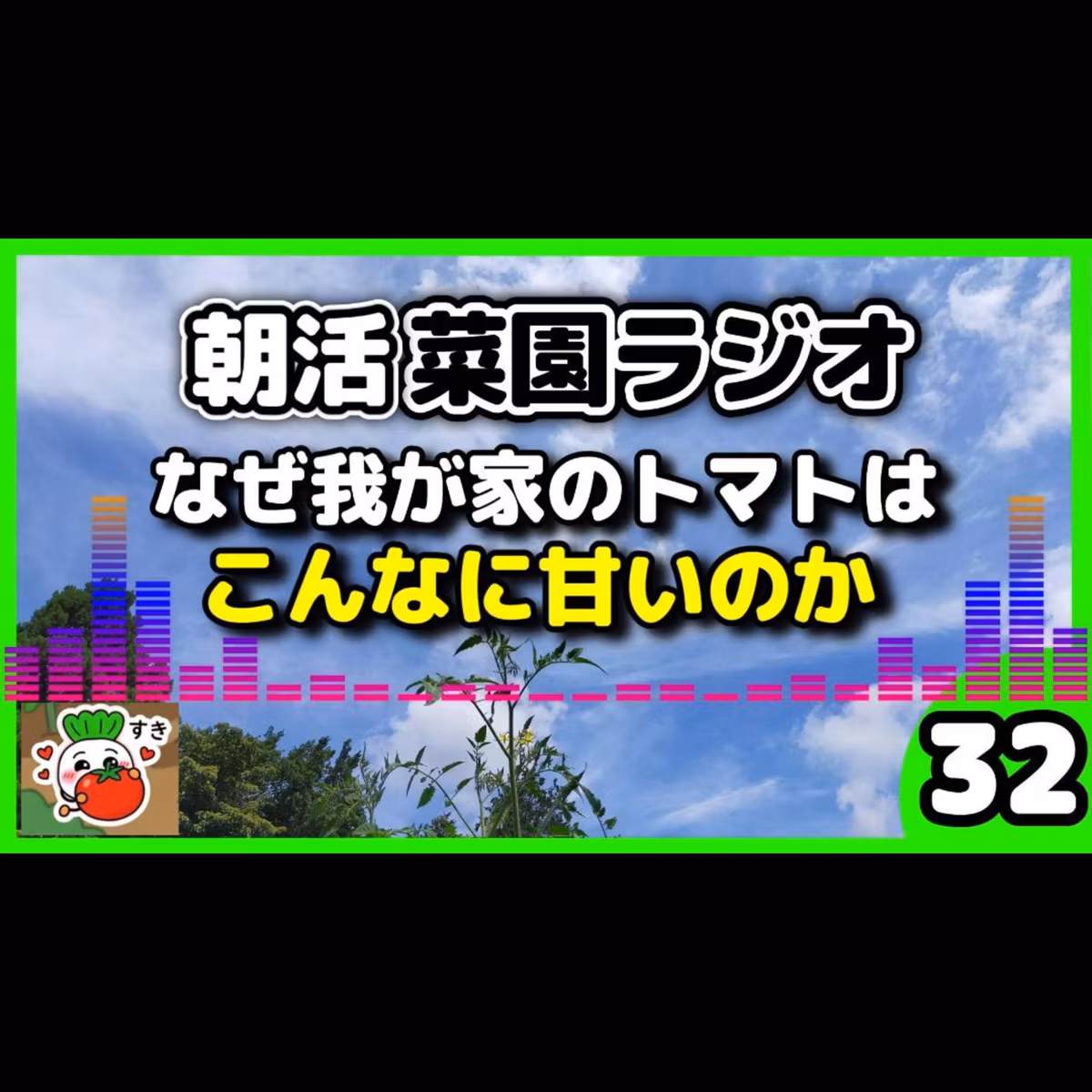 ＜トマト栽培＞みんな大好きトマトの秘密、アンデスから江戸・出島を経由したブレイクの歴史【朝活菜園ラジオ】