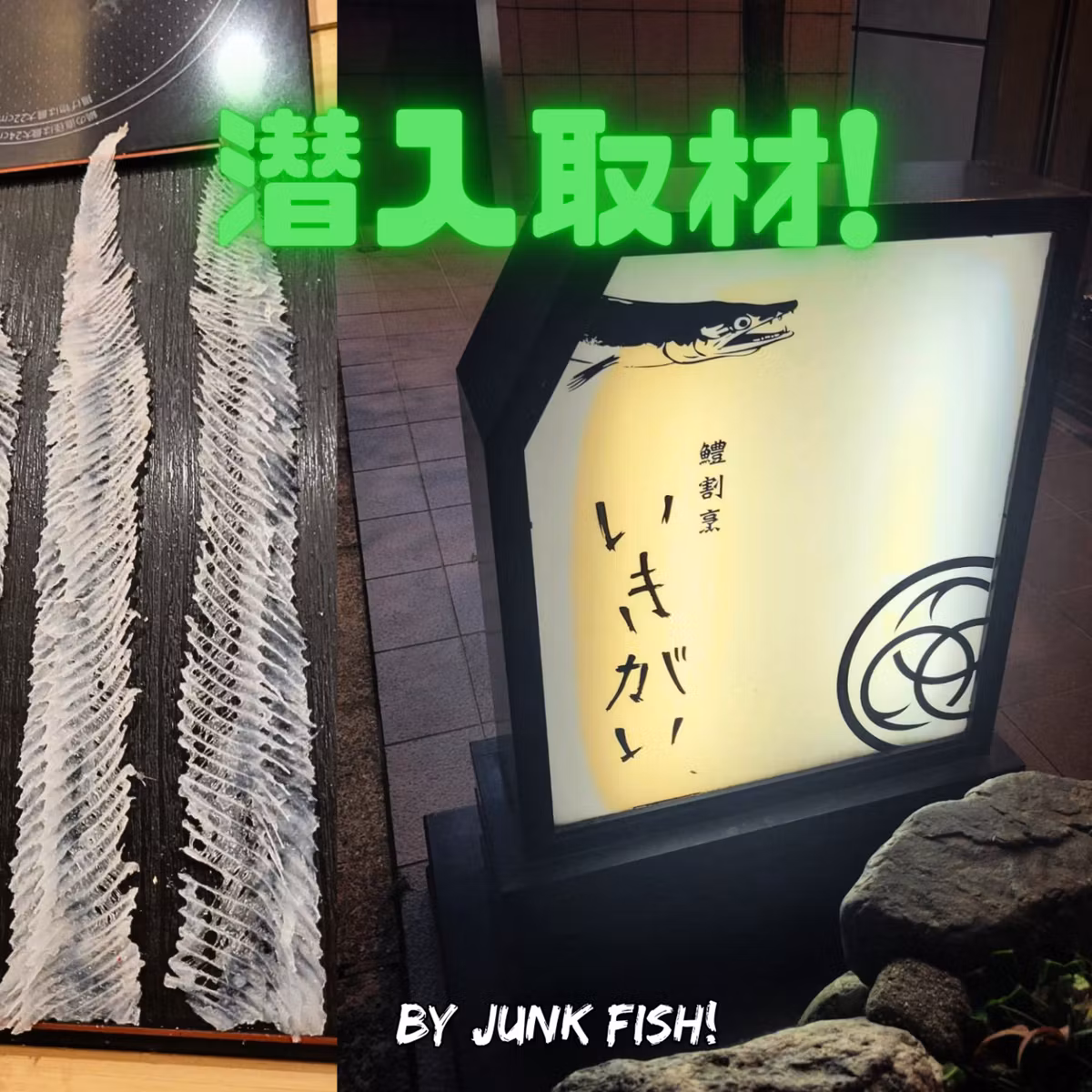 潜入！鱧割烹 IKIGAI～骨無しハモのフルコース～