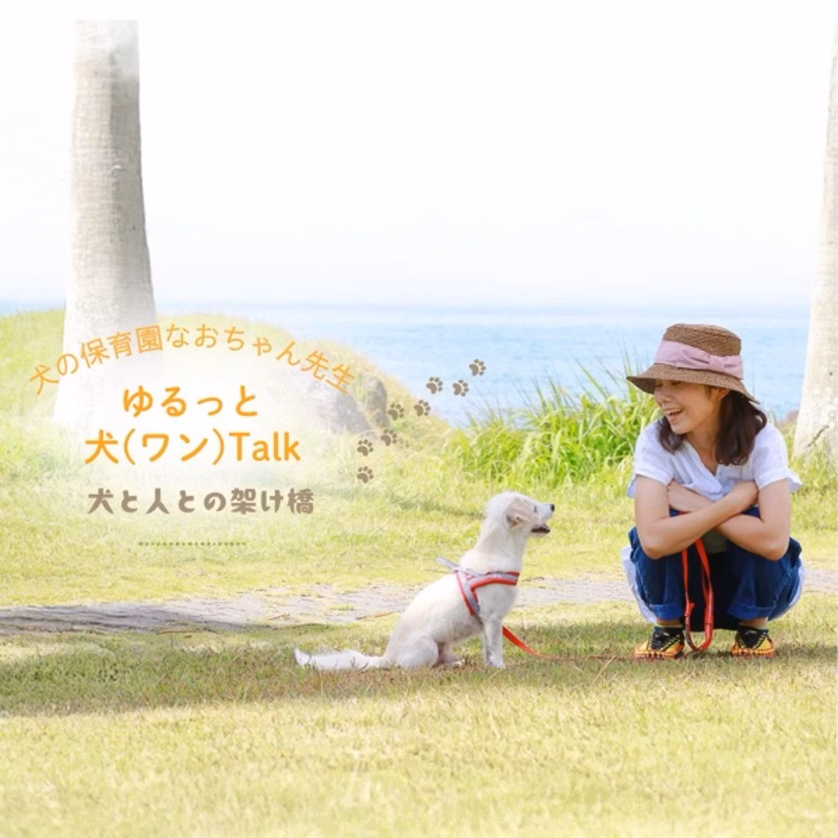 🐶わんわんにゃんにゃん母子手帳🐱って知ってる❓動物愛護フェスタ2026レポ②