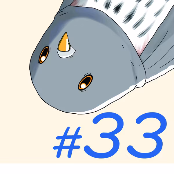 第33羽：『2週目突入記念特別回：教えて！キツツキ先生！《その最後》』
