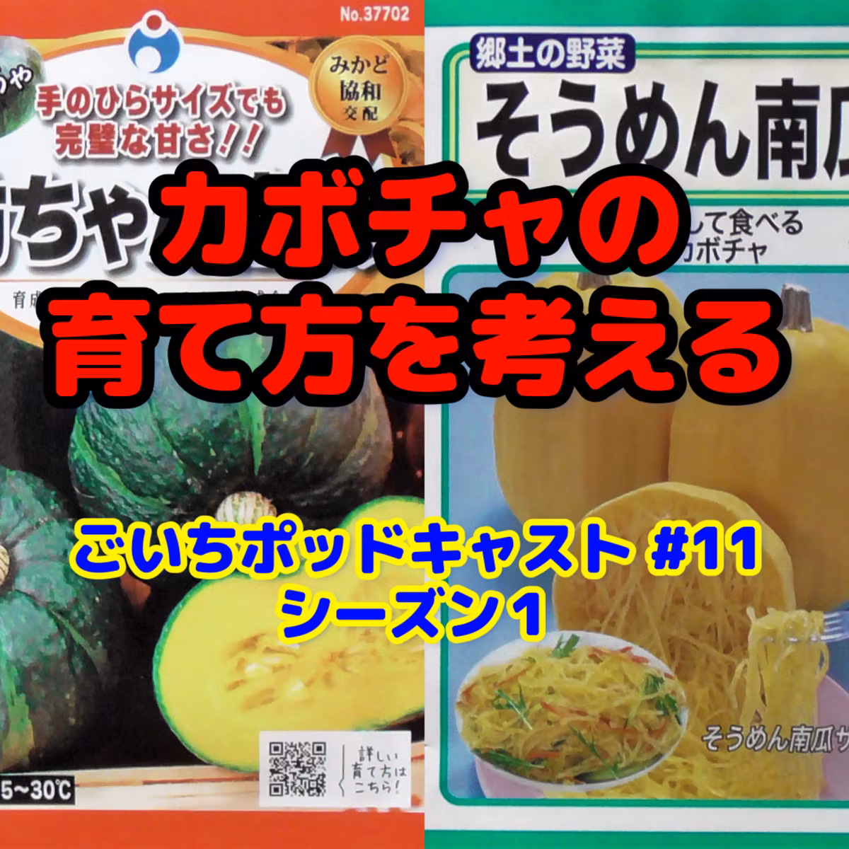 カボチャの育て方を考える｜ごいちポッドキャスト#11｜家庭菜園がおもしろい シーズン１