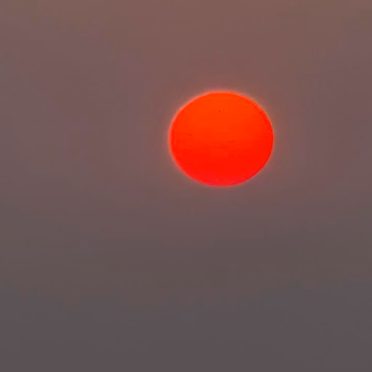 Sunrise Melodies and Mandheling Brews at the Observatory (いつもの展望台から2026年3月29日)