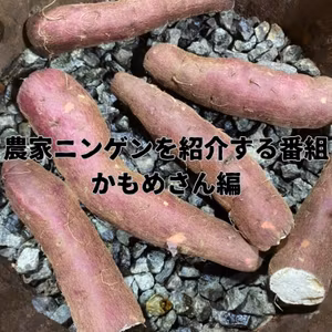 126 YAMATARO FARMの福利厚生特別編 「農家ニンゲンを紹介する番組 第5回 かもめさん編」パート2