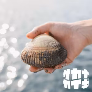 トリガイ 🐚 鍋パに現れた「トリガイ種苗生産研究ニキ」に聴くエコロジカル高級食材「トリガイ」