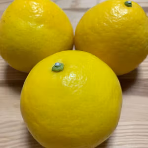 "小夏"の魅力を語る