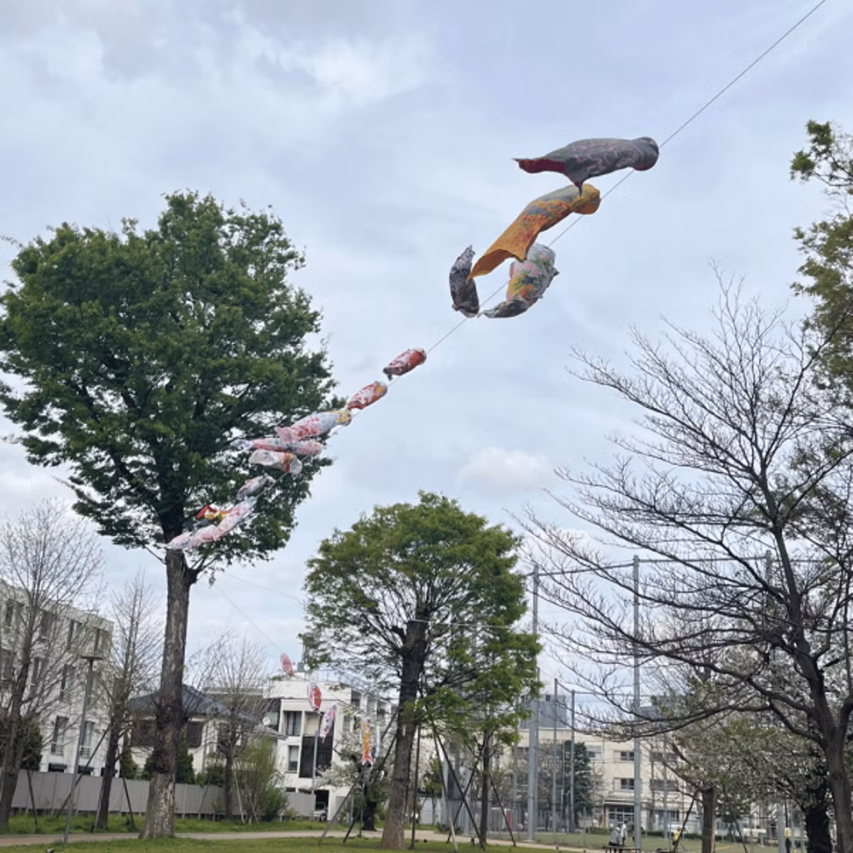 季節の移り変わりは早い……