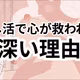 推し活が救ってくれるお母ちゃんのメンタルとの付き合い方