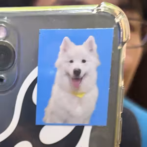 #62 犬を知る年齢か！