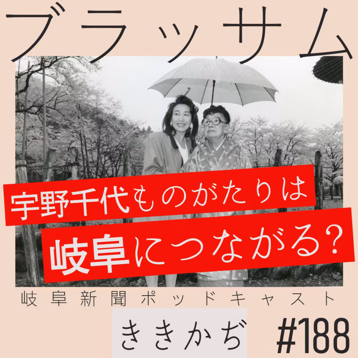 #188【ブラッサム】宇野千代ものがたりは岐阜につながる？▼朝ドラを語ろう！淡墨桜との知られざる縁▲