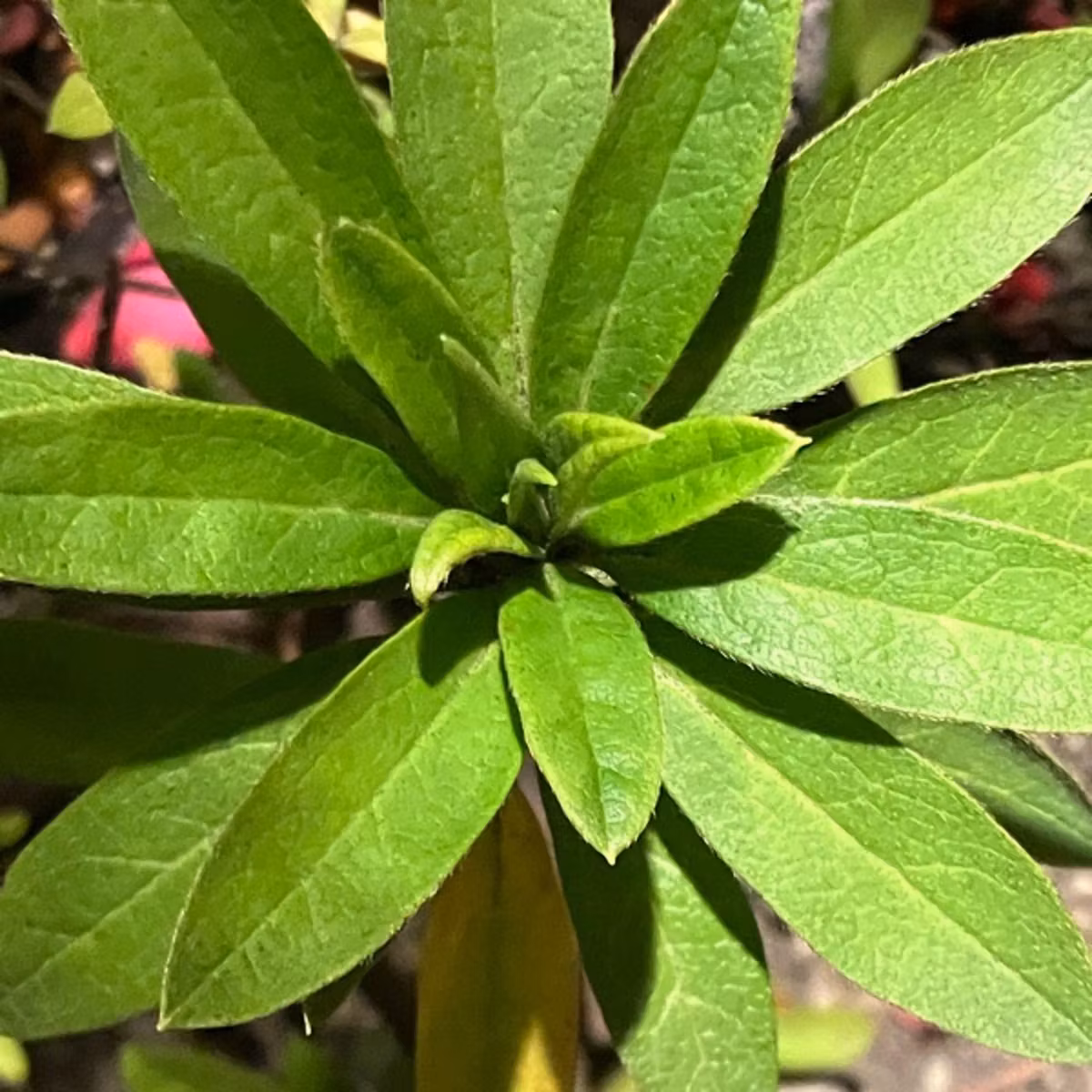 ログを取る効果について