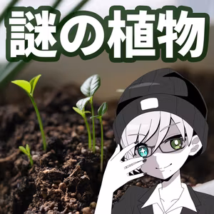プランターに謎の植物、正体は？ #316