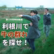 利根川で牛の群れを探せ！【100回記念動画】【旅のラジオ #100】