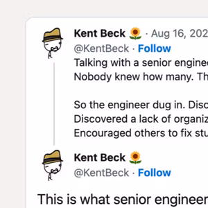 38. What senior engineers do