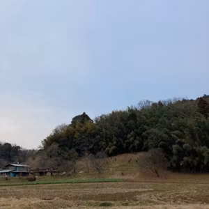 #1002  やす@旅好きの人 ライブ63