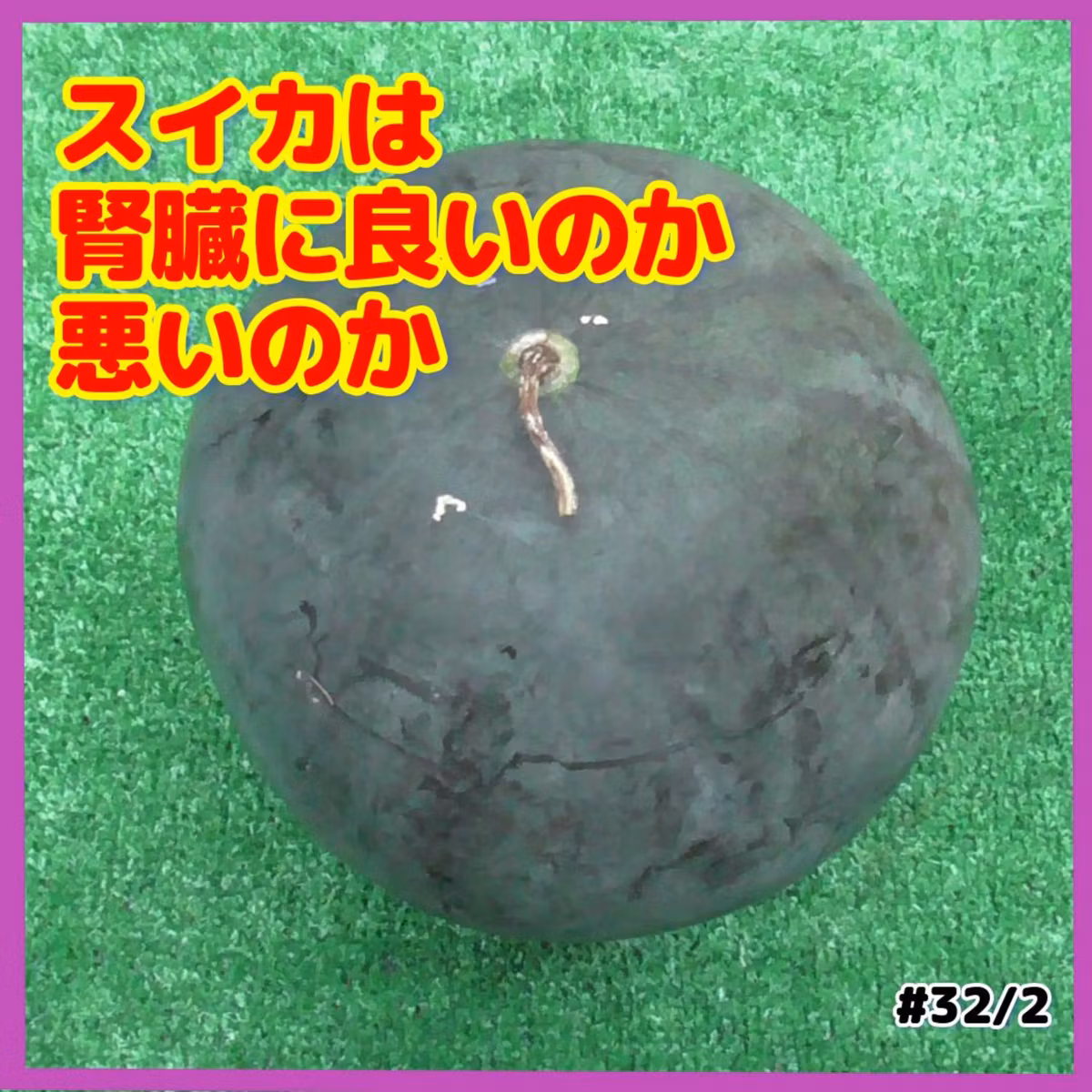 スイカは腎臓に良いのか悪いのか#32｜ごいち 家庭菜園がおもしろい シーズン２｜Is watermelon good or bad for your kidneys? #podcast