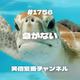 #1756 急がない