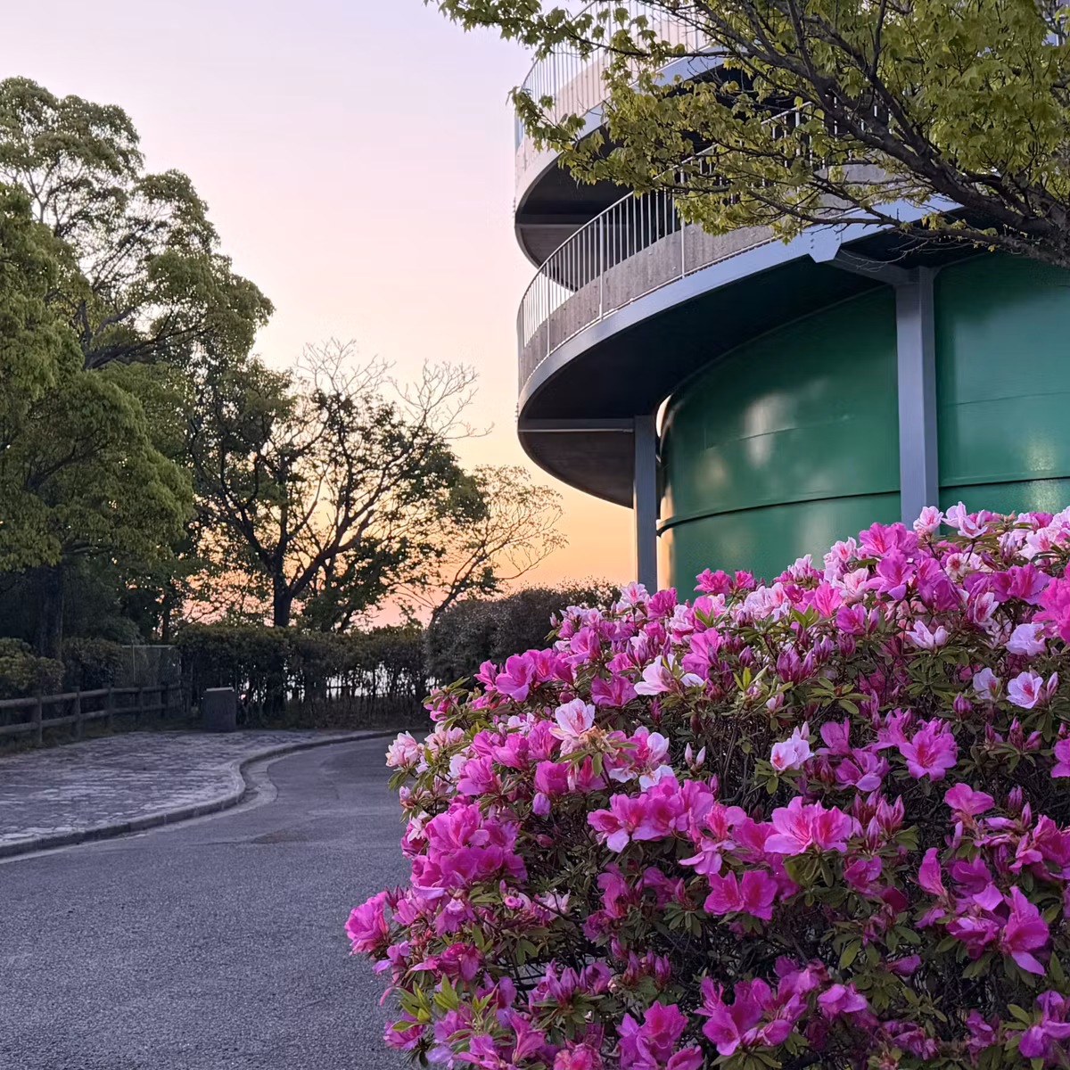 Sunrise Brew and Mountain Views at the Observatory（いつもの展望台2026年5月7日）