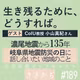 #189【ゲスト回】生き残るために､どうすれば▼濃尾地震から135年｡岐阜県地震防災の日に話し合いたい地域のこと▲