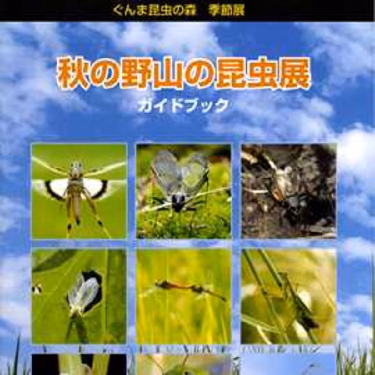 10月16日OA まん中ぐんま元気情報： 季節展「秋の野山の昆虫 展」