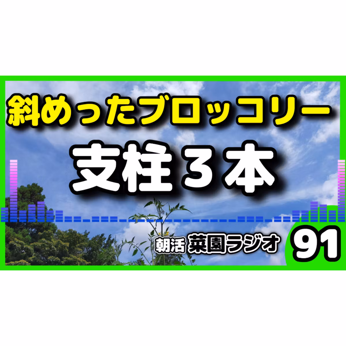 やってる？斜めのブロッコリーに支柱を3本【朝活菜園ラジオ】
