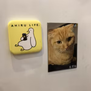 書店をお休みしている日の出版の仕事