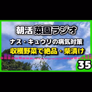 ＜ナス・キュウリの病気対策＞梅雨の家庭菜園がピンチ、そして絶品「なんちゃって柴漬け」の作り方【朝活菜園ラジオ】