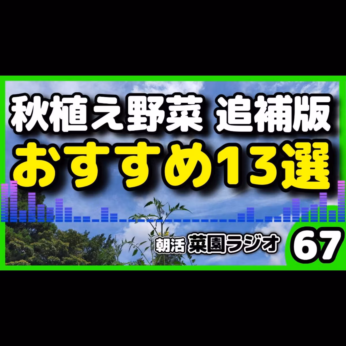 ＜忘れちゃダメな野菜＞秋から育てるべき野菜 追加13選！ほうれん草・ターサイ・パクチーまで一挙解説【朝活菜園ラジオ】