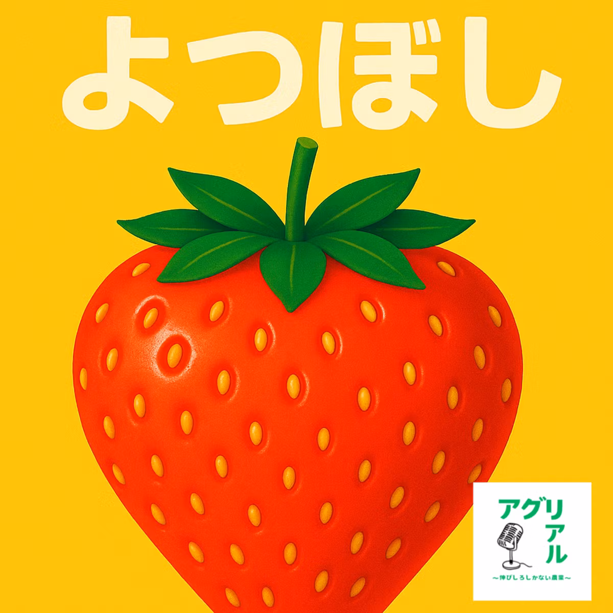 第41回　よつぼし　の魅力