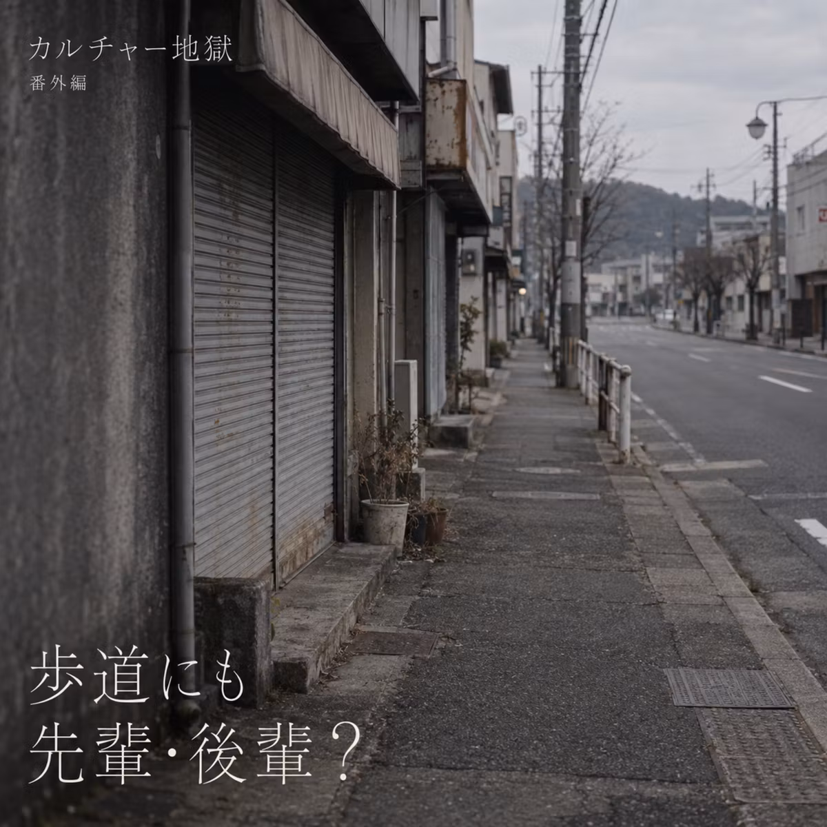歩道にも先輩・後輩がある！？ 散歩するだけで不満がたまる【番外編】