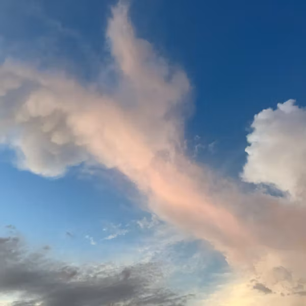 心地よい暮らし　朝活のススメ☀️