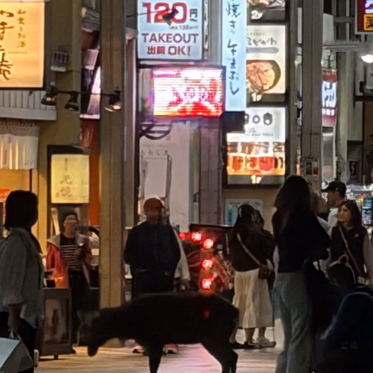 また揺らぎました