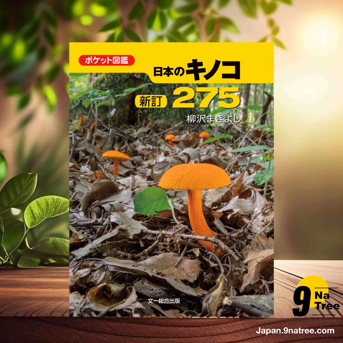                     [レビュー] 新訂 日本のキノコ275  (柳沢 まきよし) 要約した.                