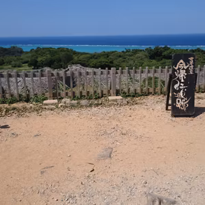 三線練習154日目🌺華きーん🍻&サッカー⚽️
