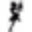 Hanime TV