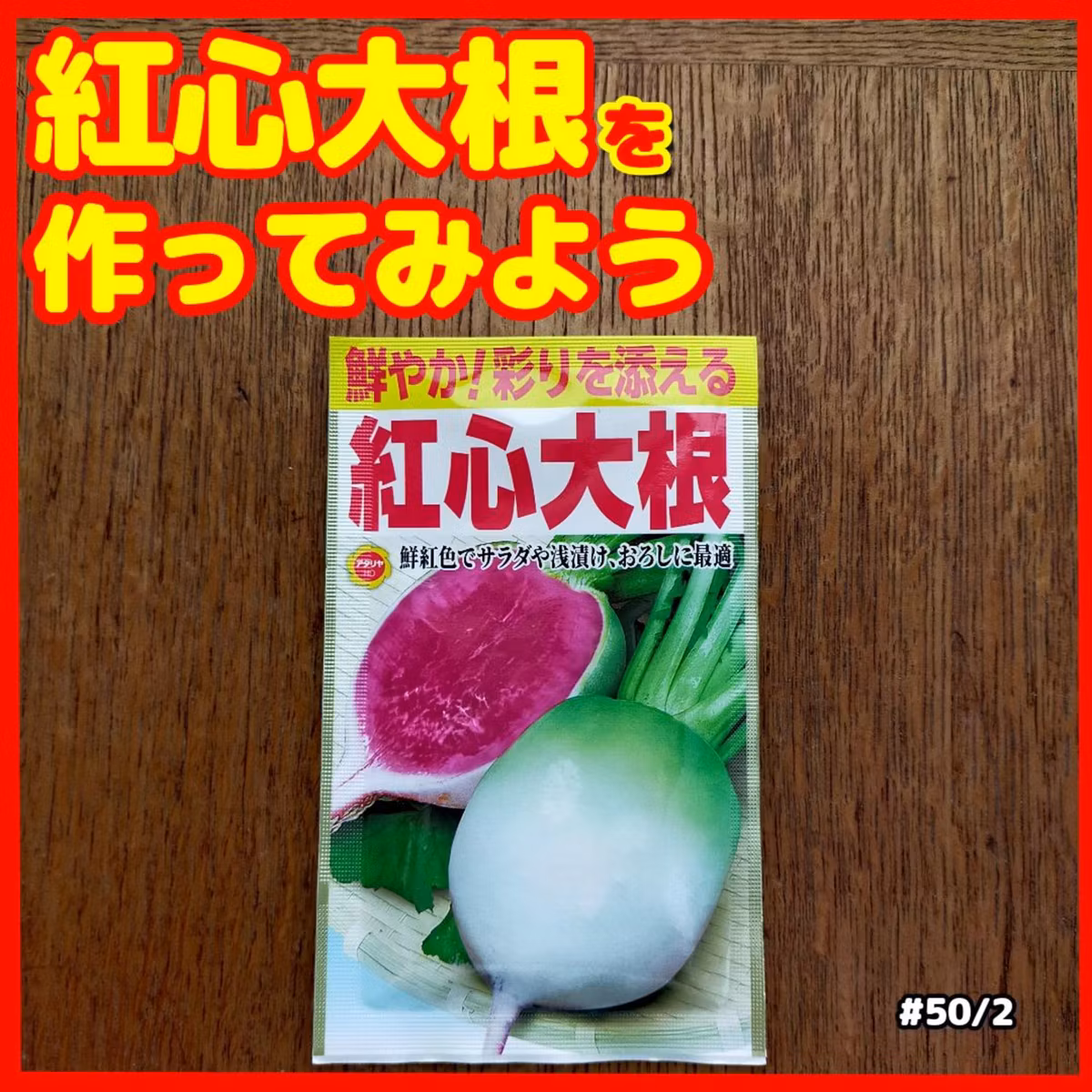 紅心大根をつくってみよう | ごいちポッドキャスト Goichi Podcast