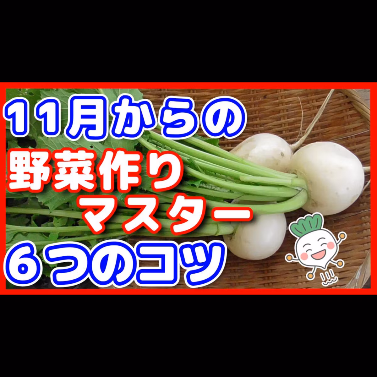 あなたにもできる！11月からの野菜作りマスター６つのコツ 【ポッドキャスト】