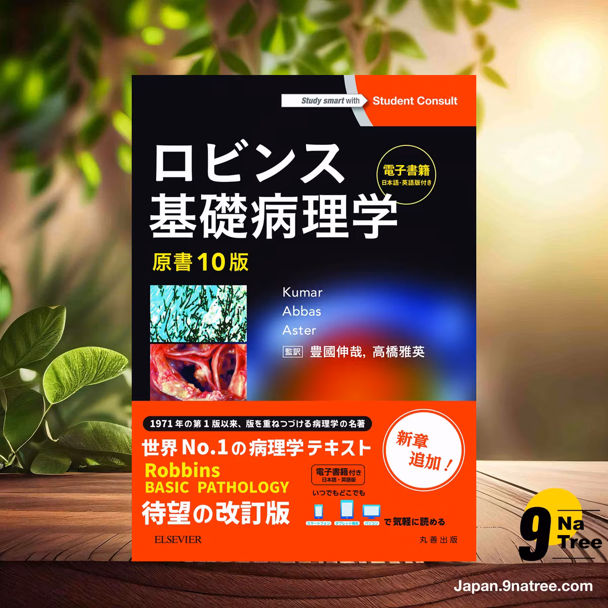                     [レビュー] ロビンス基礎病理学 原書10版-電子書籍付 (Vinay Kumar) 要約した.                