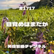 #1717 目覚めはまだか
