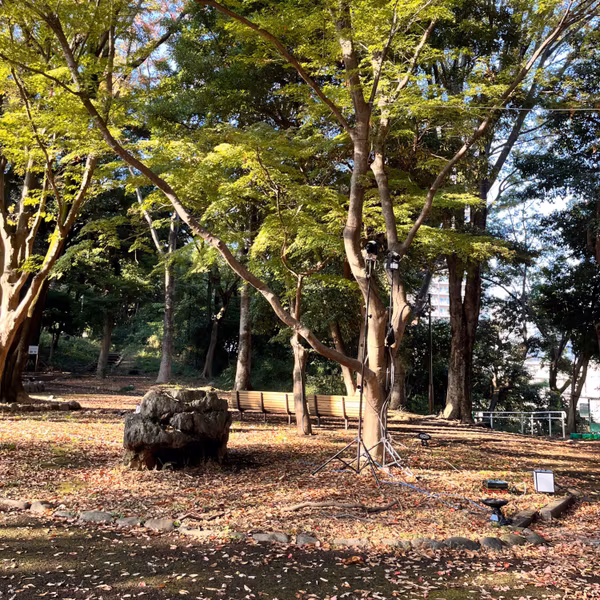 東京の飛鳥山公園
