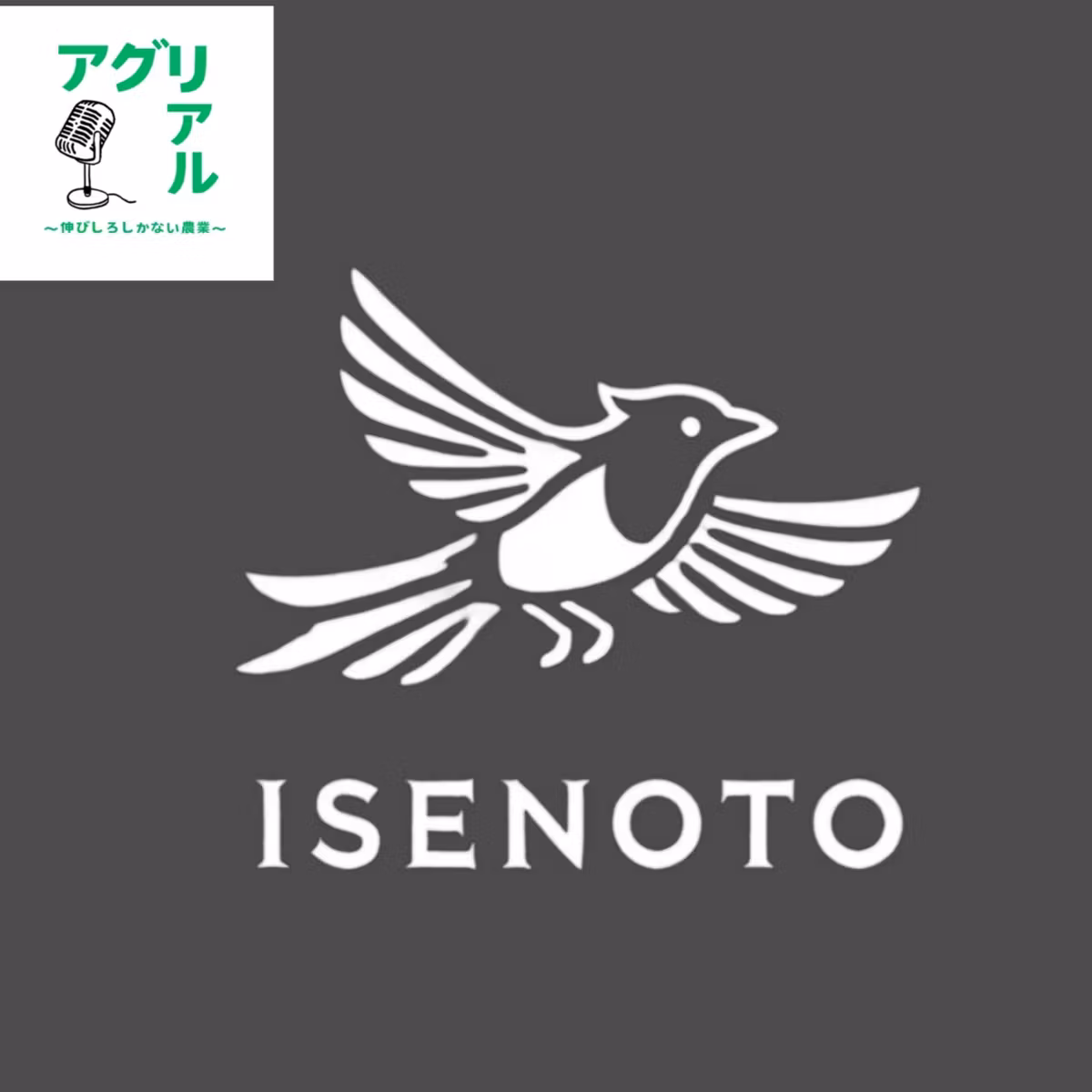 第11回　『いせのうと』
