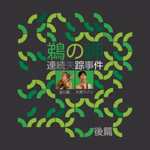 鵜の岬連続失踪事件（後篇）