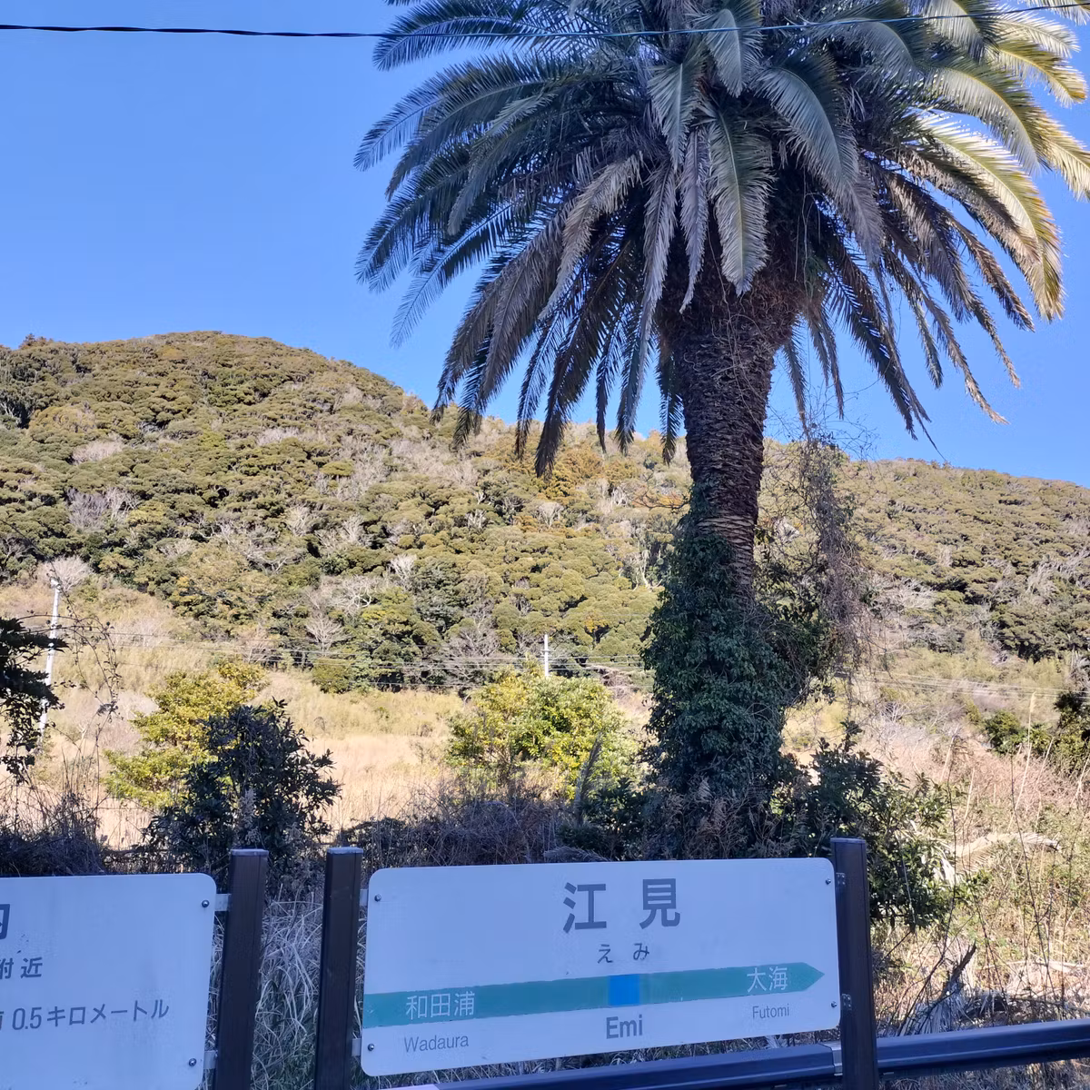 耳で楽しむ鉄道旅　内房線普通　館山→太海