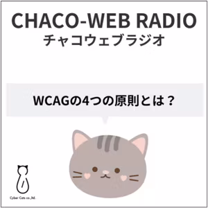#17 WCAGの4つの原則とは？