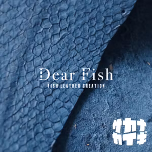 Dear Fish🐟 フィッシュレザーが作り出すのは「人とサカナのちょうど良い距離感」