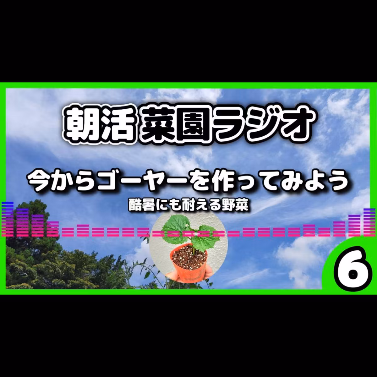 酷暑にはゴーヤーを育てよう【サラリーマンの朝活菜園ラジオ】