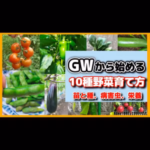 ゴールデンウィークから始める野菜１０品の育て方秘訣