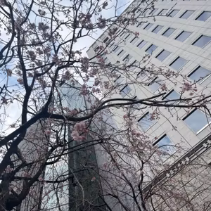2025.3.26 世の中はGAPを埋めることで商売がなりたつ